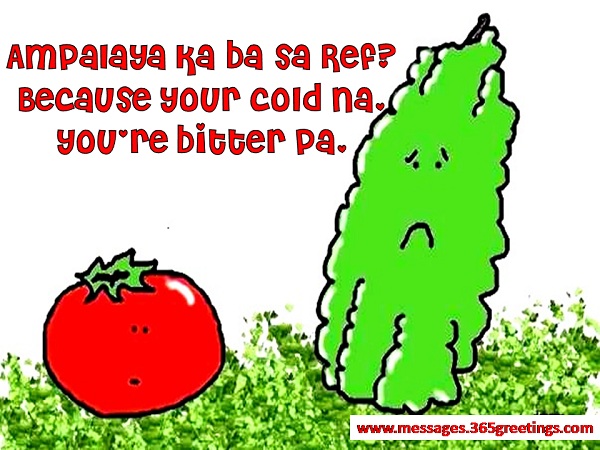 ampalaya - Tagalog Pick Up Lines For Boys