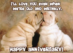 Funny Anniversary Wishes Funny Happy Anniversary Messages 365greetings Com