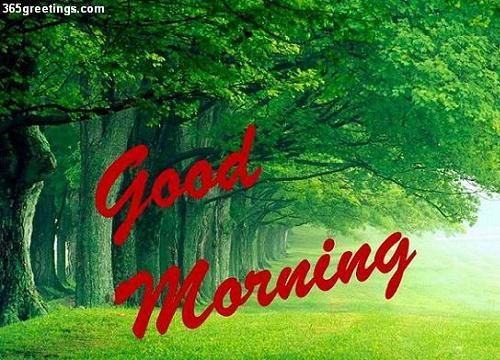 Good Day Messages Have A Nice Day Sms 365greetings Com