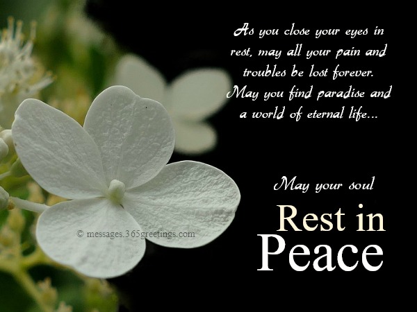 Image result for no more suffering may you rest peace quotes